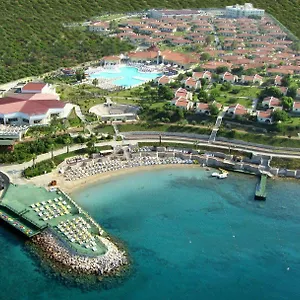 Palm Wings ***** Didim